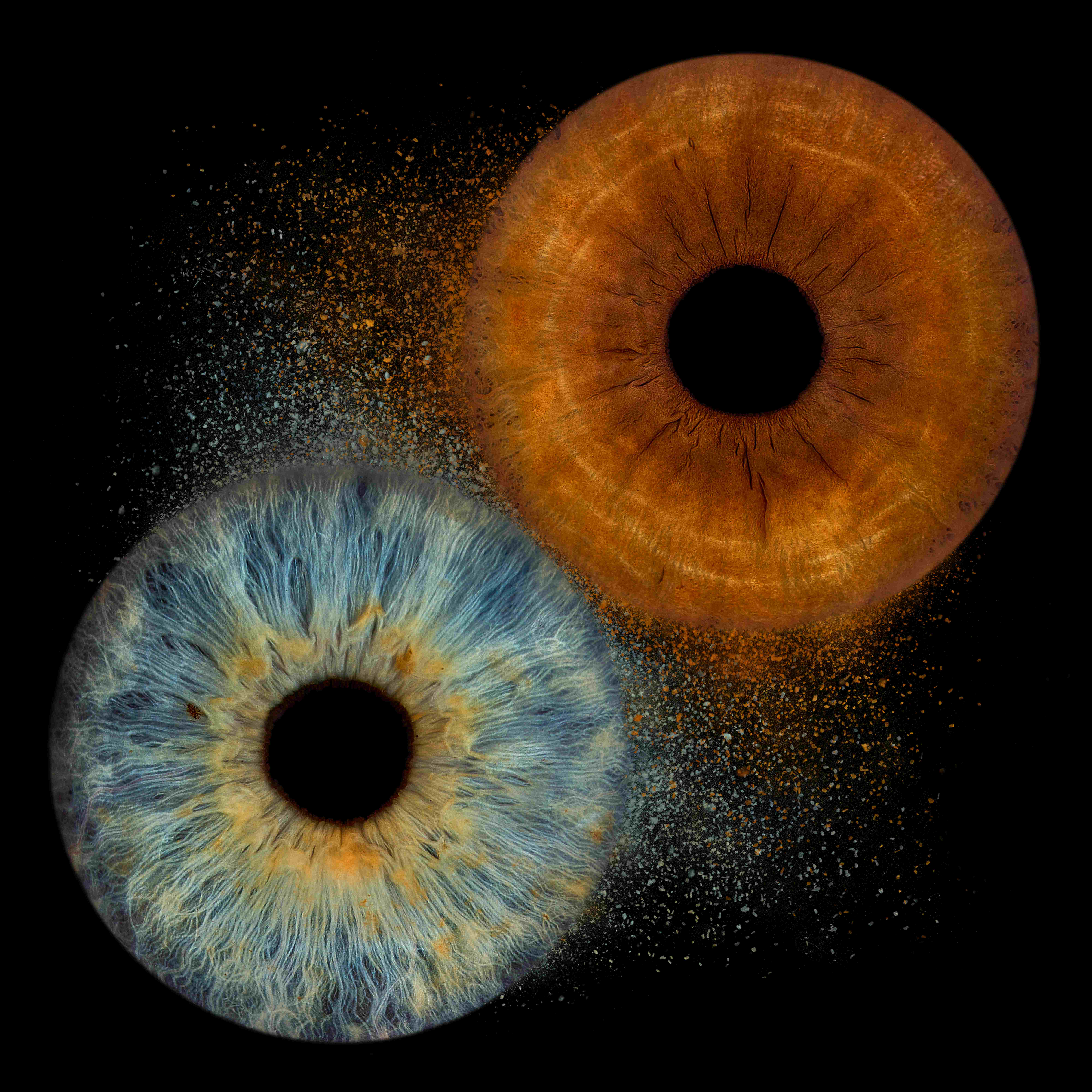 Dual Iris - Orange & Blue