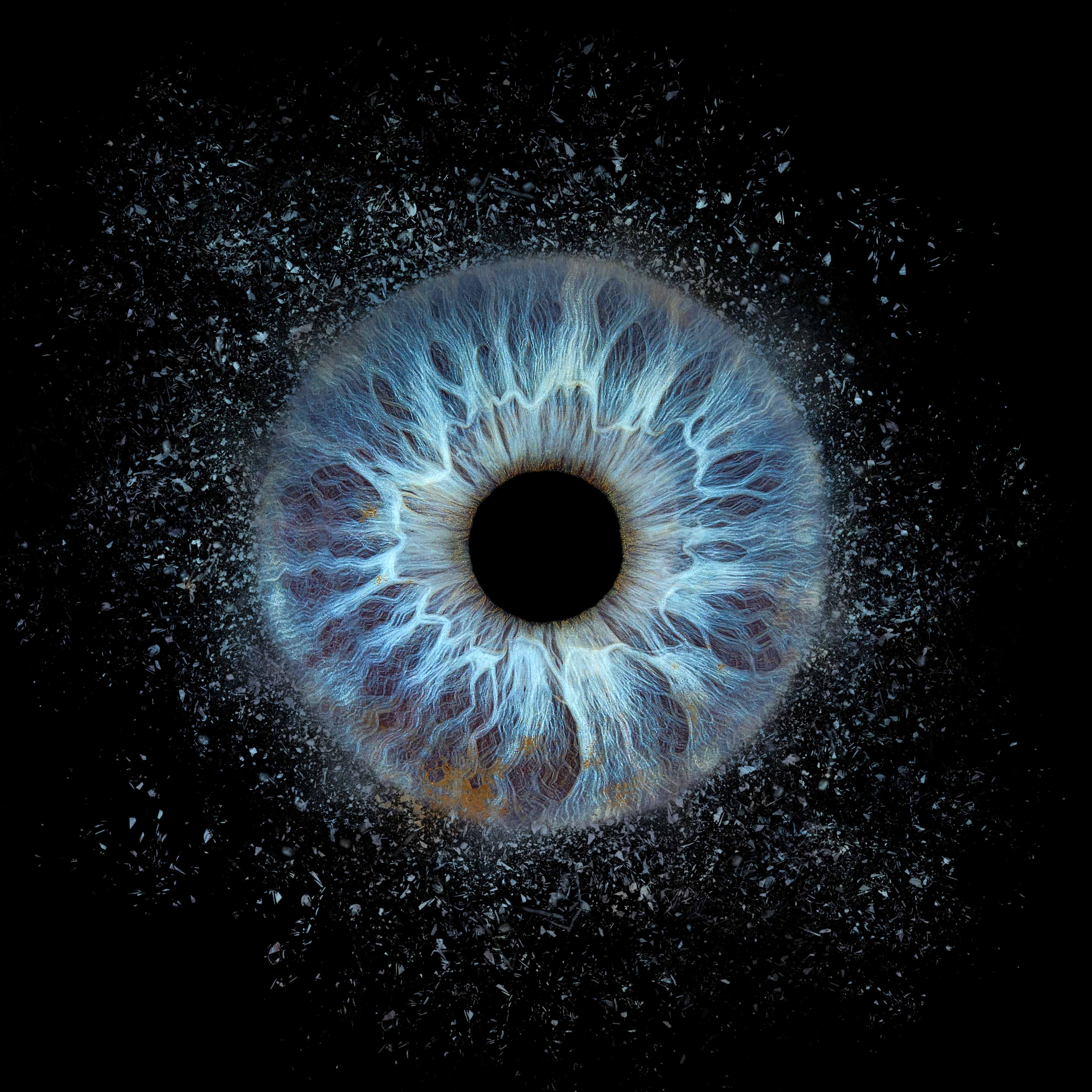 Blue iris with particle effect